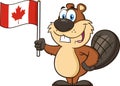 Cute Beaver Cartoon Mascot Character Holding A Canadian Flag Royalty Free Stock Photo