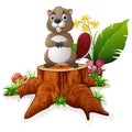 Cute beaver posing on tree stump