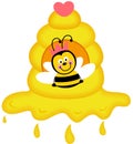 Cute bee inside on honey hive