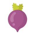 Cute beet vegetable, isolated colorful vector icon