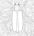 Adult coloring book,page a cute beetle image for relaxing.Zen art style illustration for print.