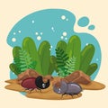 Cute beetle insect characters on the ground with leaves Vector