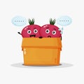 Cute beetroot mascot in the box