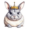 Cute beige chinchilla wearing a crown