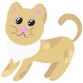 Cute beige kitten with white chest stands and looks, vector illustration in flat style