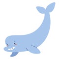 Cute beluga whale animal, funny ocean mammal swimming and smiling, funny white whale Royalty Free Stock Photo