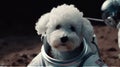 Cute Bichon dog in space suit on moon generative AI Royalty Free Stock Photo