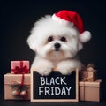 Cute Bichon Frise Maltese dog in Santa Claus hat with Christmas gifts holding a Black Friday board, mockup, generative ai