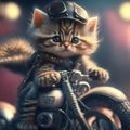 Cute bicker kitten with pretty face Royalty Free Stock Photo