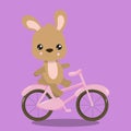 CUTE BICYCLE RABBIT 04