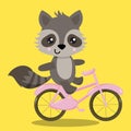 CUTE BICYCLE RACCOON 02