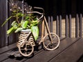 Cute bicycle shaped planter