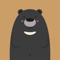 Cute big asian black bear Royalty Free Stock Photo