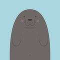 Cute big fat monk seal