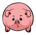 Cute Big Fat Pig Color Illustration Design Royalty Free Stock Photo
