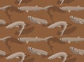 Cute Bigeye Sixgill Shark Cartoon Background Seamless Wallpaper