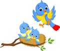 Cute bird cartoon