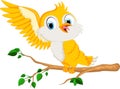 Cute bird cartoon for you design Royalty Free Stock Photo