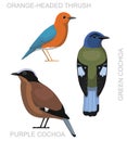 Cute Bird Cochoa Thrush Set Cartoon Vector Royalty Free Stock Photo