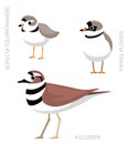 Cute Bird Plover Killdeer Set Cartoon Vector