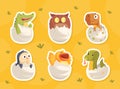 Cute Bird and Reptile Hatching from Egg Sitting in Cracked Open Shell Vector Sticker Set Royalty Free Stock Photo