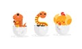 Cute Bird and Reptile Hatching from Egg Vector Set Royalty Free Stock Photo