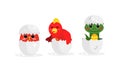 Cute Bird and Reptile Hatching from Egg Vector Set Royalty Free Stock Photo