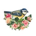 Cute bird and spring flowers. Illustration in oil, acrylic painting style Royalty Free Stock Photo