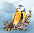 Cute Bird And Spring Season And Flowers On Tree, Cute Bird, Cute Bird Birds, Spring , Animals, Nature, Illustration , Drawing Canv