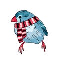 cute bird warm dressed in winter season