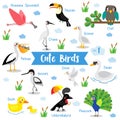 Cute Bird Animal cartoon on white background with animal name. Vector illustration. Set 1