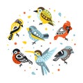 Cute Birds Set, Cute Small Birdies in Circular Shape Cartoon Vector Illustration Royalty Free Stock Photo