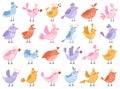 Cute birds singing love song romantic collection of beautiful poultry feathered animal characters Royalty Free Stock Photo