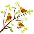 Cute birds sitting on branches.