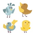 Cute birds vector set illustration cartoon colorful Royalty Free Stock Photo
