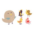 Cute birds vector set illustration cartoon colorful Royalty Free Stock Photo