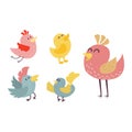 Cute birds vector set illustration cartoon colorful Royalty Free Stock Photo