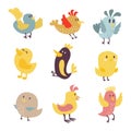 Cute birds vector set illustration cartoon colorful Royalty Free Stock Photo