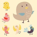 Cute birds vector set illustration cartoon colorful Royalty Free Stock Photo