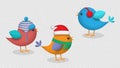 Cute birds wintertime, 3d style vector set