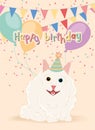 Cute birthday invitational card with a happy cat Vector