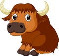 Cute bison cartoon Royalty Free Stock Photo