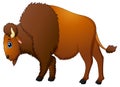 Cute bison cartoon Royalty Free Stock Photo