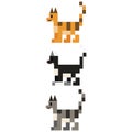 Cute 8 bit cat breed vector illustration. Feline pet pixel clipart