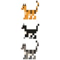 Cute 8 bit cat breed vector illustration. Feline pet pixel clipart.