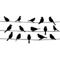 Cute cartoon black birds on a wire Royalty Free Stock Photo