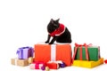 cute black british shorthair in christmas vest sitting on gift boxes near christmas baubles