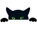 Cute black cat face with green eyes peekings. Isolated white background. Curious funny cat hides and peeps, creative design Royalty Free Stock Photo