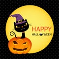 Cute black cat on halloween pumpkin card Royalty Free Stock Photo