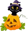 Cute black cat with Halloween pumpkin